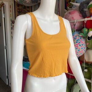 Pacsun basics crop top size small